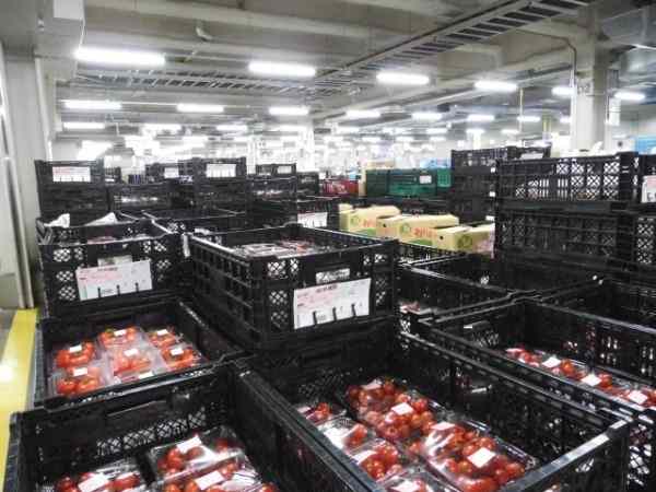 全国のコープセンターへ出荷する食品を扱います☆お仕事のブランクある方も大歓迎！
