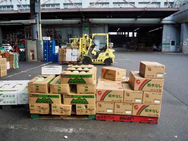 全国から集まる野菜や果物を扱います！デリケートな果物などもあるのでスピードより丁寧なお仕事ができる方歓迎！