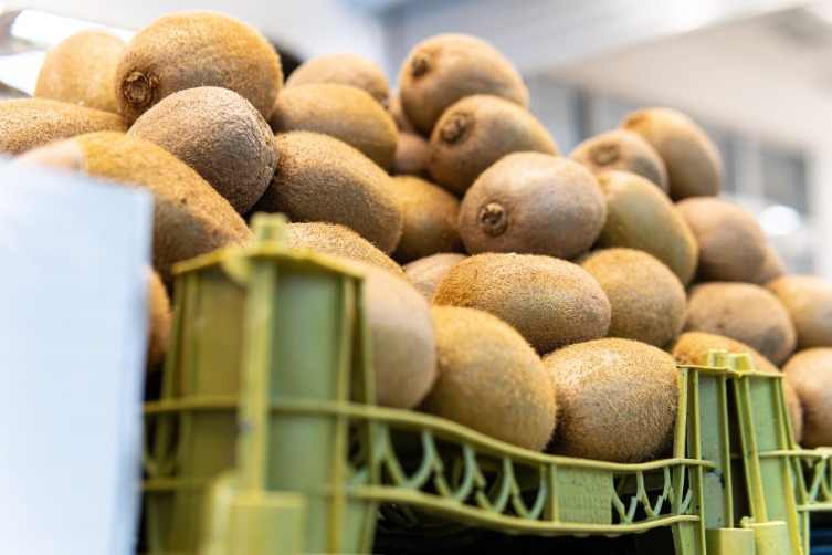 スーパーなどでよく見かける輸入フルーツを扱います。