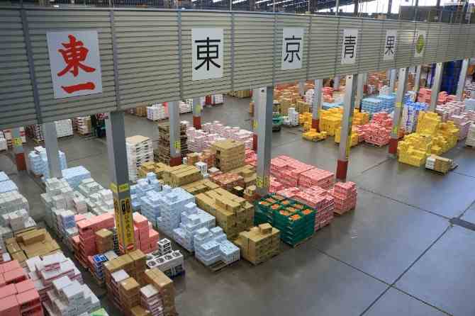 全国から集まった野菜や果物を扱う日本一の取扱規模を誇る市場です！
