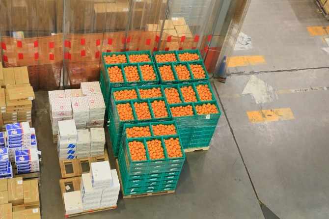 全国から集まった野菜や果物を扱う日本一の取扱規模を誇る市場です！
